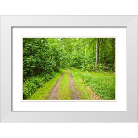 Sweden-Scania-Molle-Krapperups Slott castle-ancient home of the Gyllenstierna family-public garden- White Modern Wood Framed Art Print with Double Matting by Bibikow, Walter