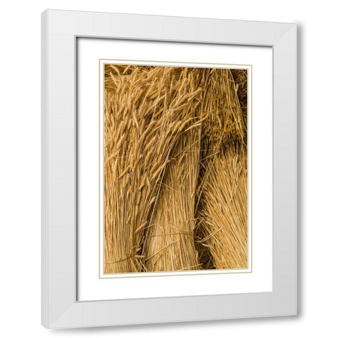 Sweden-Bohuslan-Tanumshede-cut wheat White Modern Wood Framed Art Print with Double Matting by Bibikow, Walter