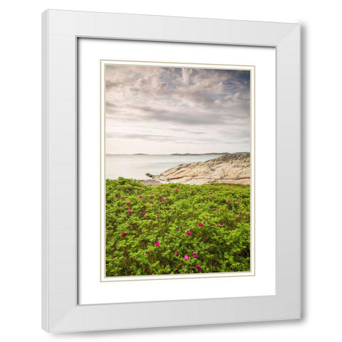 Sweden-Bohuslan-Salto Island-rocky cove seascape White Modern Wood Framed Art Print with Double Matting by Bibikow, Walter