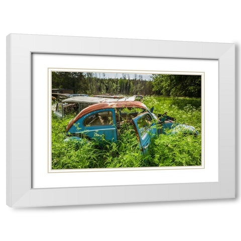 Sweden-Varmland-Bastnas-Bastnas Car Cemetery public park-antique car junkyard White Modern Wood Framed Art Print with Double Matting by Bibikow, Walter