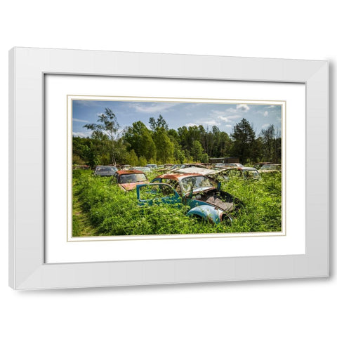Sweden-Varmland-Bastnas-Bastnas Car Cemetery public park-antique car junkyard White Modern Wood Framed Art Print with Double Matting by Bibikow, Walter