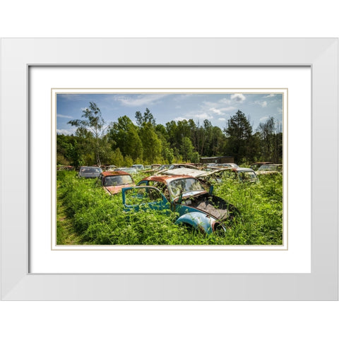 Sweden-Varmland-Bastnas-Bastnas Car Cemetery public park-antique car junkyard White Modern Wood Framed Art Print with Double Matting by Bibikow, Walter