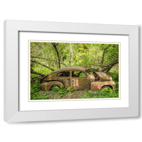 Sweden-Varmland-Bastnas-Bastnas Car Cemetery public park-antique car junkyard White Modern Wood Framed Art Print with Double Matting by Bibikow, Walter