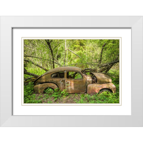 Sweden-Varmland-Bastnas-Bastnas Car Cemetery public park-antique car junkyard White Modern Wood Framed Art Print with Double Matting by Bibikow, Walter