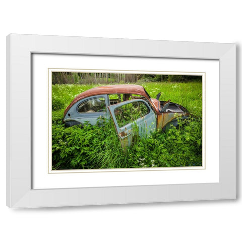 Sweden-Varmland-Bastnas-Bastnas Car Cemetery public park-antique car junkyard White Modern Wood Framed Art Print with Double Matting by Bibikow, Walter