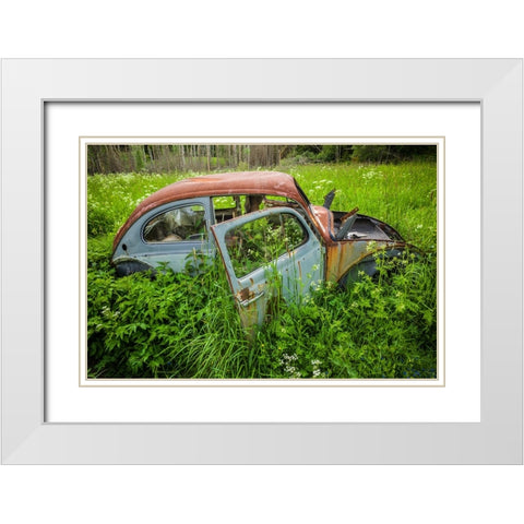 Sweden-Varmland-Bastnas-Bastnas Car Cemetery public park-antique car junkyard White Modern Wood Framed Art Print with Double Matting by Bibikow, Walter