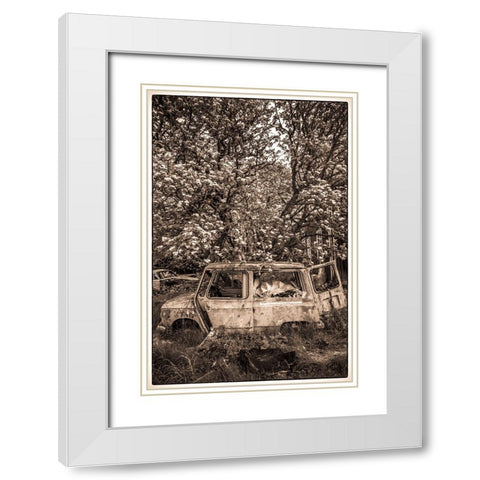 Sweden-Varmland-Bastnas-Bastnas Car Cemetery public park-antique car junkyard White Modern Wood Framed Art Print with Double Matting by Bibikow, Walter