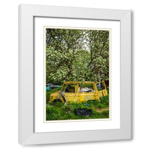 Sweden-Varmland-Bastnas-Bastnas Car Cemetery public park-antique car junkyard White Modern Wood Framed Art Print with Double Matting by Bibikow, Walter