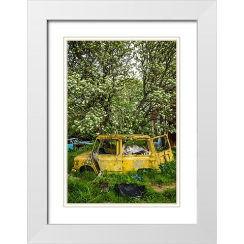 Sweden-Varmland-Bastnas-Bastnas Car Cemetery public park-antique car junkyard White Modern Wood Framed Art Print with Double Matting by Bibikow, Walter