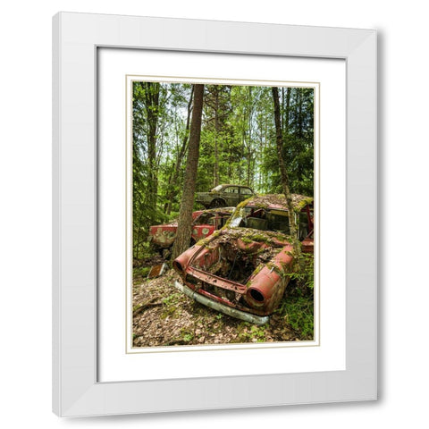 Sweden-Varmland-Bastnas-Bastnas Car Cemetery public park-antique car junkyard White Modern Wood Framed Art Print with Double Matting by Bibikow, Walter