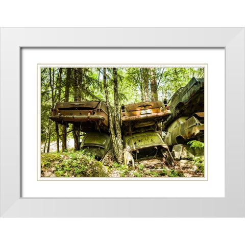 Sweden-Varmland-Bastnas-Bastnas Car Cemetery public park-antique car junkyard White Modern Wood Framed Art Print with Double Matting by Bibikow, Walter