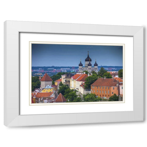 Estonia, Tallinn Alexander Nevsky Cathedral White Modern Wood Framed Art Print with Double Matting by Zuckerman, Jim