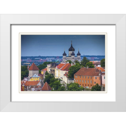 Estonia, Tallinn Alexander Nevsky Cathedral White Modern Wood Framed Art Print with Double Matting by Zuckerman, Jim