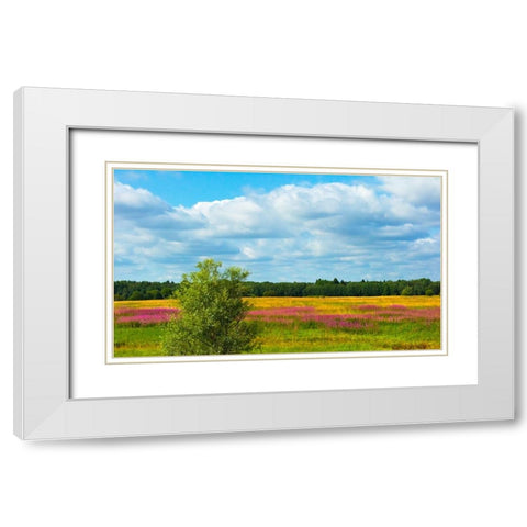 Farmland and flower fields-Estonia White Modern Wood Framed Art Print with Double Matting by Su, Keren