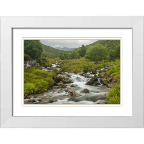 Scotland, Cairngorm NP Mountain stream cascade White Modern Wood Framed Art Print with Double Matting by Illg, Cathy and Gordon