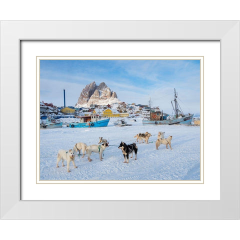 Team of sled dog during winter in Uummannaq in Greenland White Modern Wood Framed Art Print with Double Matting by Zwick, Martin