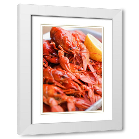 Crayfish close-up White Modern Wood Framed Art Print with Double Matting by Majority World CIC
