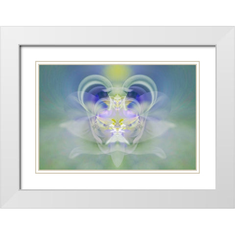 Star of Bethlehem White Modern Wood Framed Art Print with Double Matting by Jones, Adam