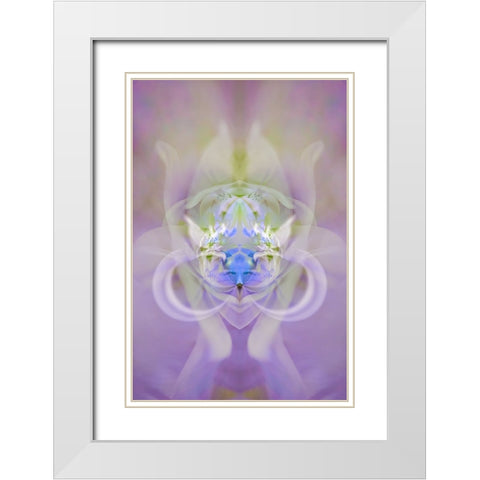 Star of Bethlehem and Iris in background White Modern Wood Framed Art Print with Double Matting by Jones, Adam
