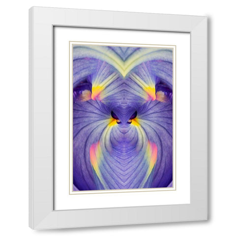 Abstract Iris flowers White Modern Wood Framed Art Print with Double Matting by Jones, Adam
