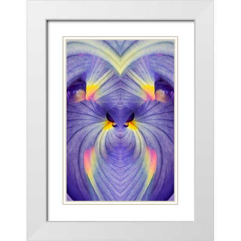 Abstract Iris flowers White Modern Wood Framed Art Print with Double Matting by Jones, Adam