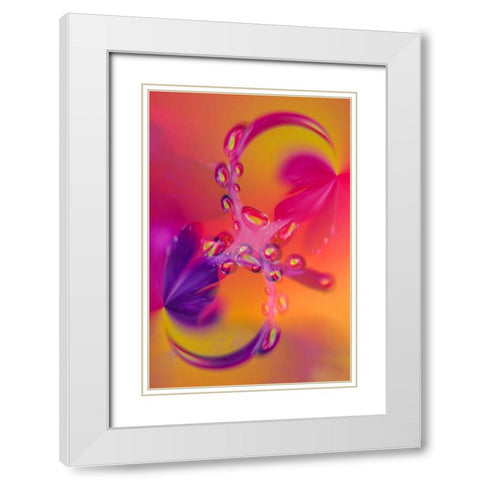 Close-up of flower reflected in waterdrop White Modern Wood Framed Art Print with Double Matting by Jones, Adam