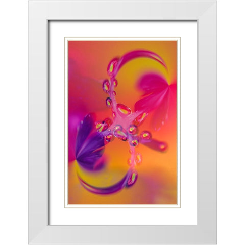 Close-up of flower reflected in waterdrop White Modern Wood Framed Art Print with Double Matting by Jones, Adam