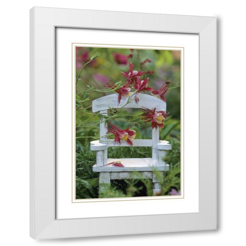 Columbine and chair in garden White Modern Wood Framed Art Print with Double Matting by Rotenberg, Nancy