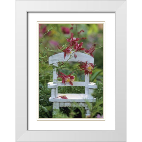 Columbine and chair in garden White Modern Wood Framed Art Print with Double Matting by Rotenberg, Nancy