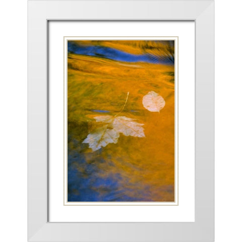 Fall reflections in water White Modern Wood Framed Art Print with Double Matting by Rotenberg, Nancy