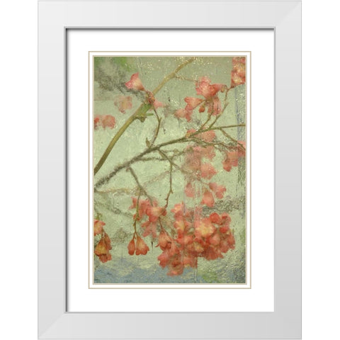 Pentstemon flower behind glass White Modern Wood Framed Art Print with Double Matting by Rotenberg, Nancy