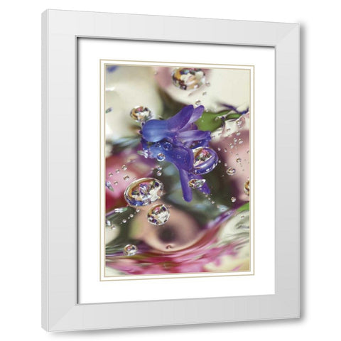 Hyacinth Bud on Mylar With Reflections White Modern Wood Framed Art Print with Double Matting by Rotenberg, Nancy