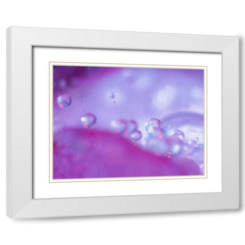 Dew drops on flower petal abstract White Modern Wood Framed Art Print with Double Matting by Rotenberg, Nancy