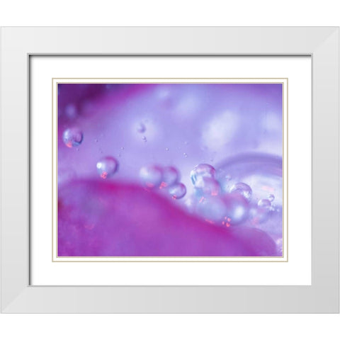 Dew drops on flower petal abstract White Modern Wood Framed Art Print with Double Matting by Rotenberg, Nancy