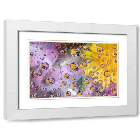 Bubbles abstract with flowers White Modern Wood Framed Art Print with Double Matting by Rotenberg, Nancy