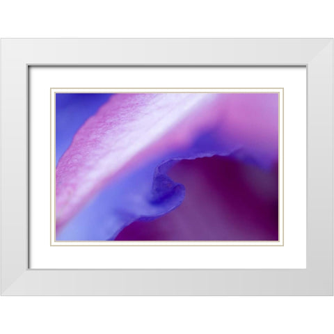 Petal Pattern White Modern Wood Framed Art Print with Double Matting by Rotenberg, Nancy