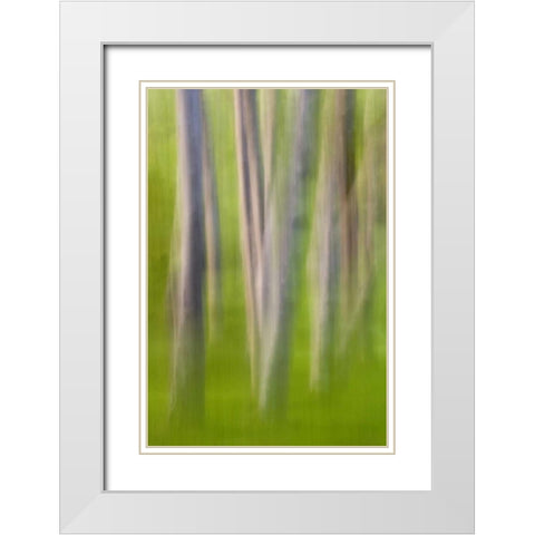 Alder tree abstract White Modern Wood Framed Art Print with Double Matting by Paulson, Don