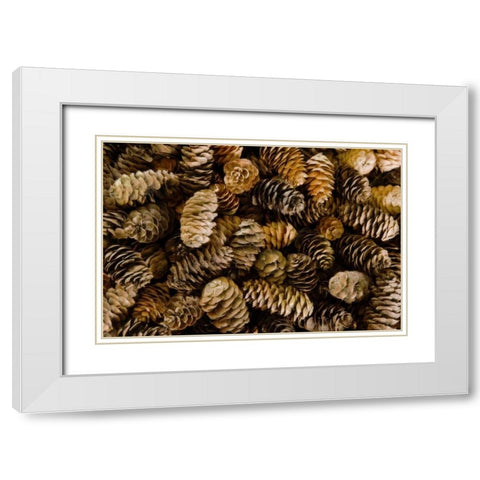Pile of female pine cones White Modern Wood Framed Art Print with Double Matting by Paulson, Don
