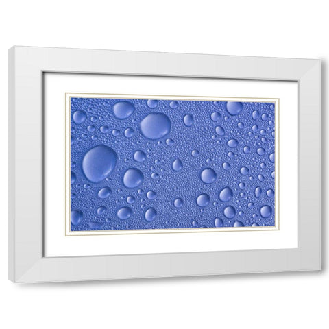 Close-up of frozen water drops White Modern Wood Framed Art Print with Double Matting by Paulson, Don