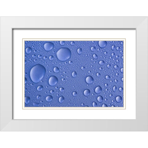 Close-up of frozen water drops White Modern Wood Framed Art Print with Double Matting by Paulson, Don