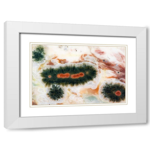 Ocean jasper stone found in Madagascar White Modern Wood Framed Art Print with Double Matting by Kirkland, Dennis