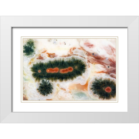Ocean jasper stone found in Madagascar White Modern Wood Framed Art Print with Double Matting by Kirkland, Dennis