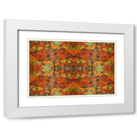 Autumn tree abstract White Modern Wood Framed Art Print with Double Matting by Jaynes Gallery
