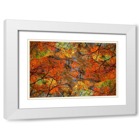 Autumn tree abstract White Modern Wood Framed Art Print with Double Matting by Jaynes Gallery
