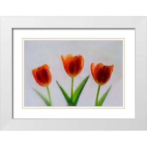 Tulip in ice White Modern Wood Framed Art Print with Double Matting by Jaynes Gallery