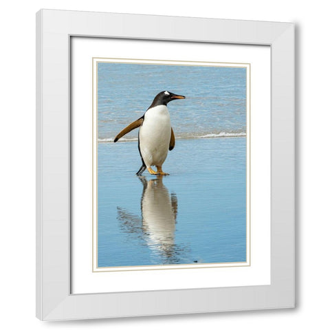 Antarctic-gentoo-penguin White Modern Wood Framed Art Print with Double Matting by Theodore, George