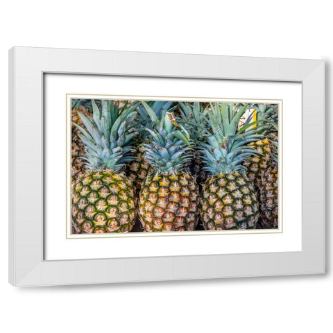 Sugarloaf pineapple White Modern Wood Framed Art Print with Double Matting by Engelbrecht, Jim