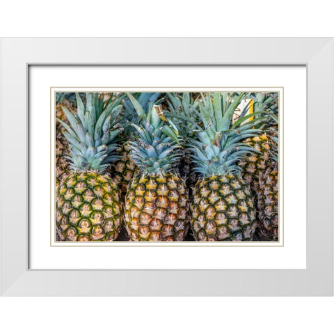 Sugarloaf pineapple White Modern Wood Framed Art Print with Double Matting by Engelbrecht, Jim