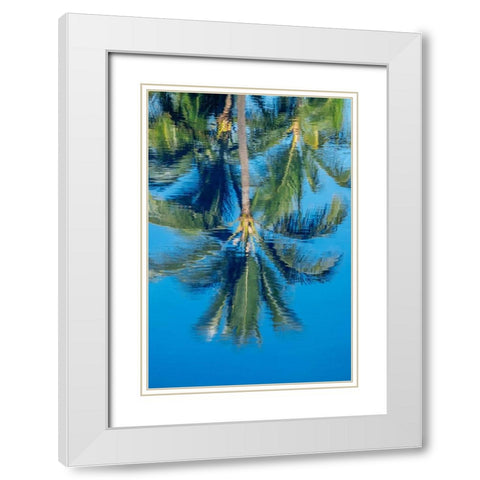 Reflection of palm trees on water White Modern Wood Framed Art Print with Double Matting by Engelbrecht, Jim