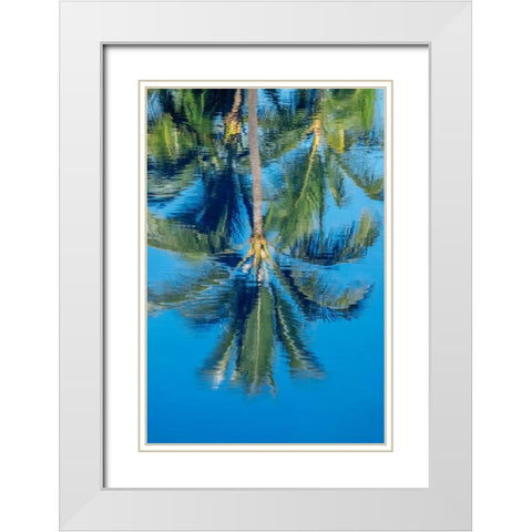 Reflection of palm trees on water White Modern Wood Framed Art Print with Double Matting by Engelbrecht, Jim